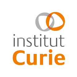 Institut Curie